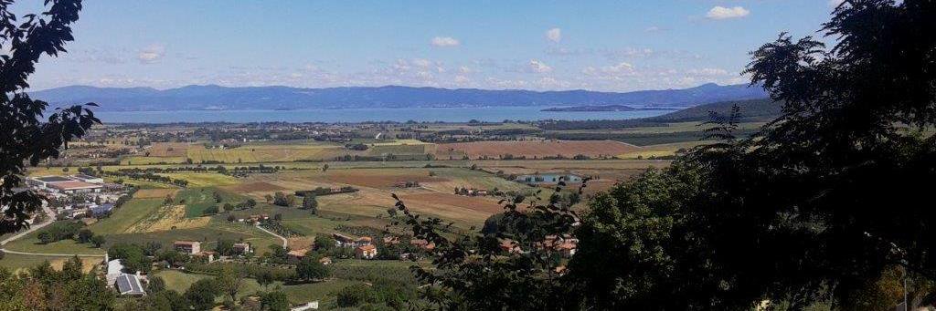 Massimo Baldeschi banner