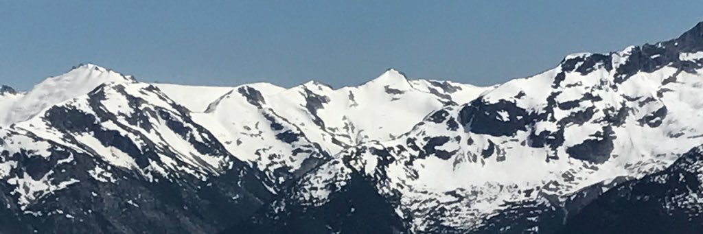 SumTallGuy banner