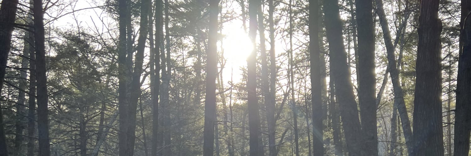 JamesCarlson82's profile banner image