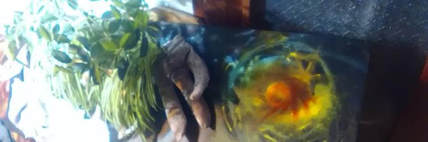 SeoKungFu Profile Banner