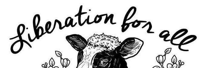 Humanity4Animal's profile banner image