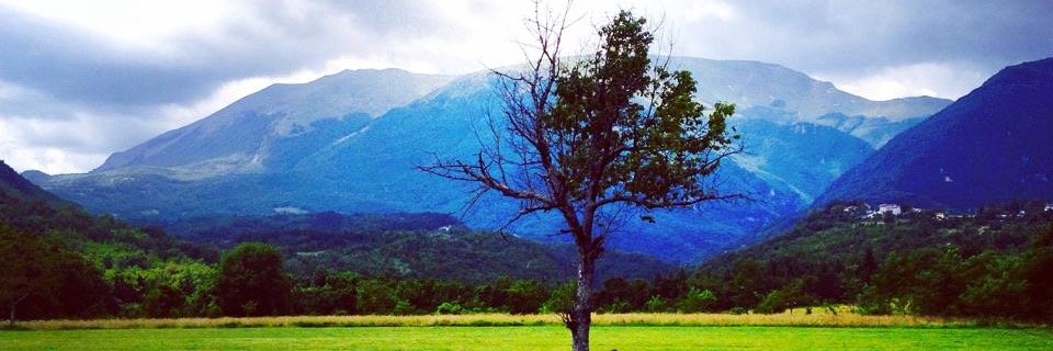 andreapolidoro's profile banner image