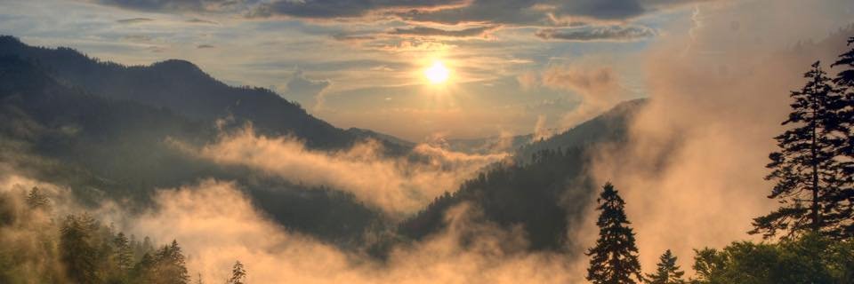 pamelahaddix's profile banner image