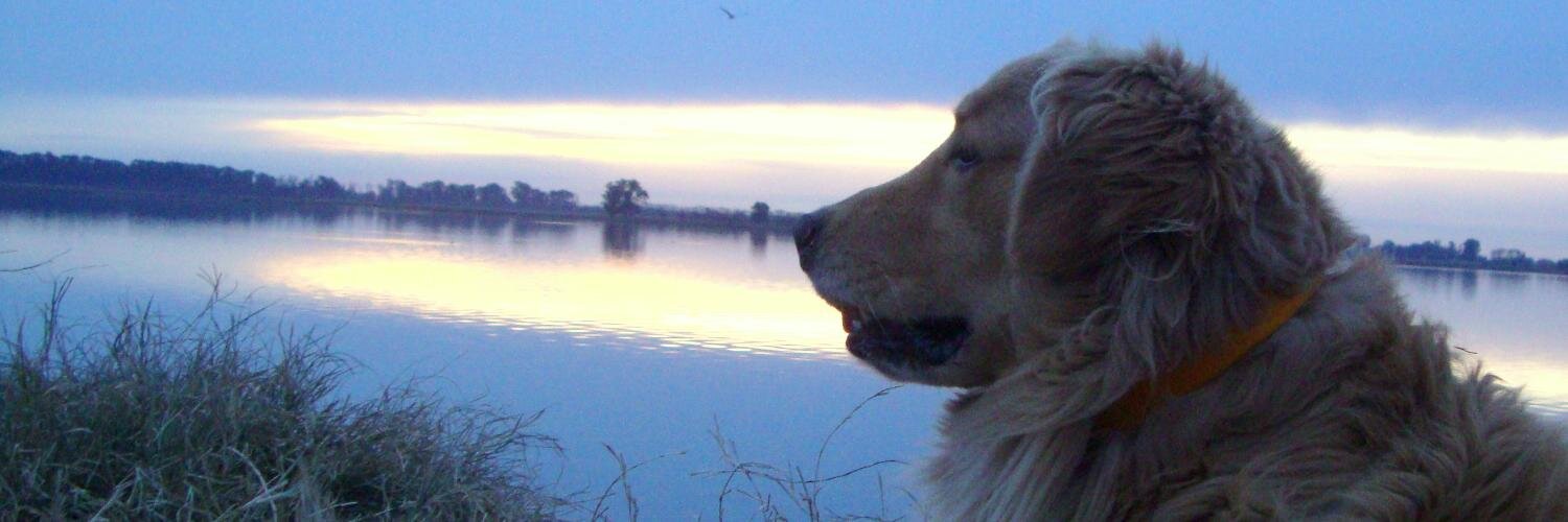 ManudeArenaza's profile banner image