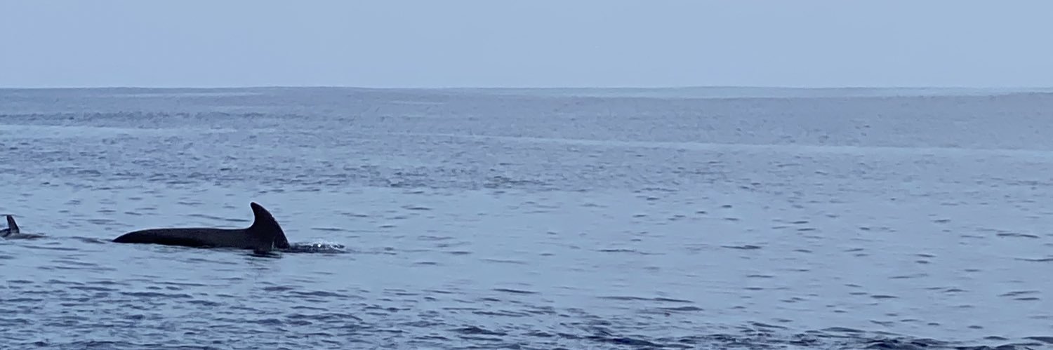 mrmaritime's profile banner image