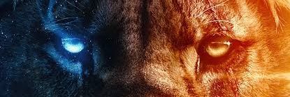 DevJonsen's profile banner image