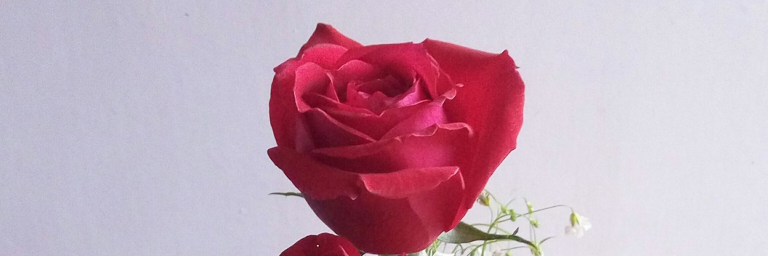 Shreeej's profile banner image