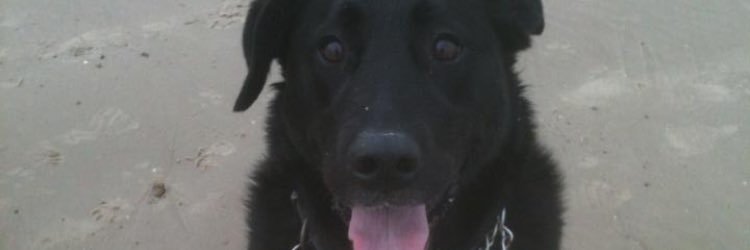 Charlie_Gammons's profile banner image