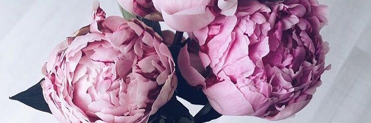 _Paiiss's profile banner image