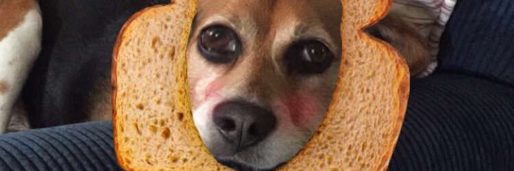 EthRowsam's profile banner image