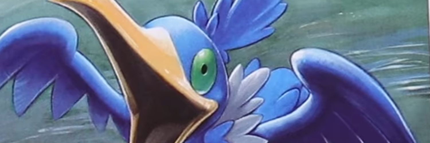 dressella01's profile banner image