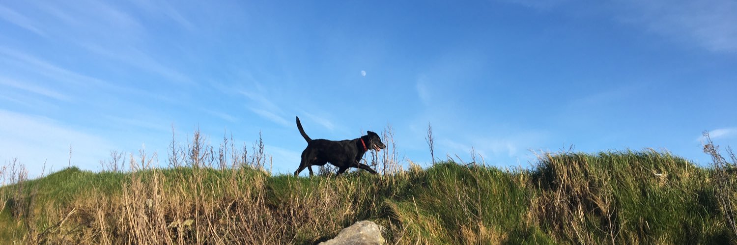 Amy Ní Riada banner