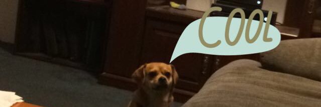 itsafactimjack's profile banner image