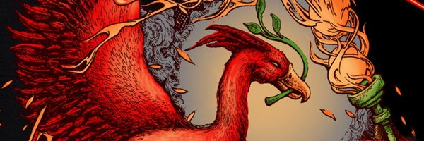 zack_kop's profile banner image