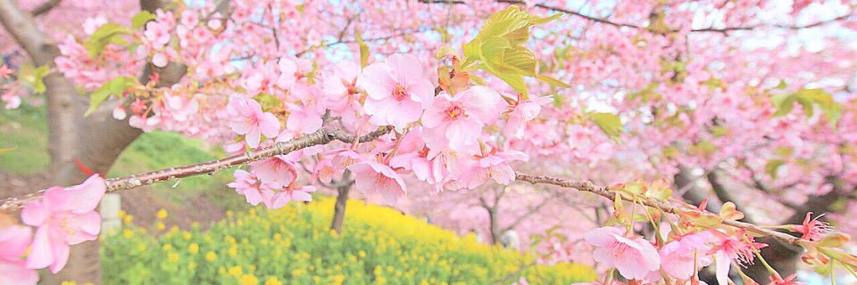 ____n___09's profile banner image