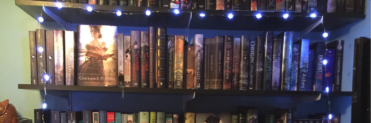 brittanysbook's profile banner image