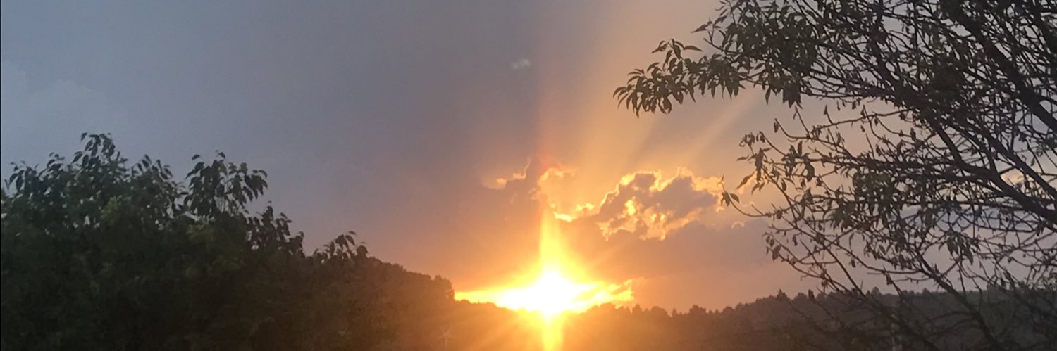 ptrodd's profile banner image