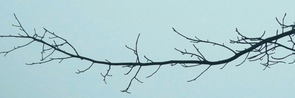 ManjothiAshraf Profile Banner