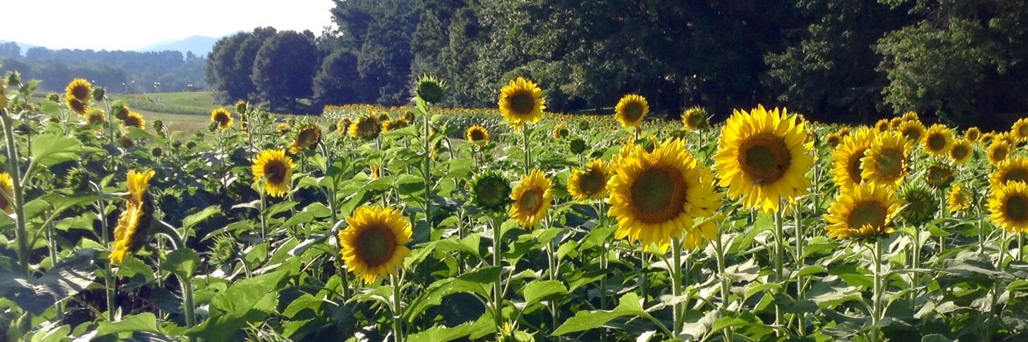 1drfulworld's profile banner image