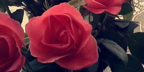 ladyrachael21's profile banner image