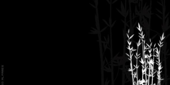 TsubasaAbed's profile banner image