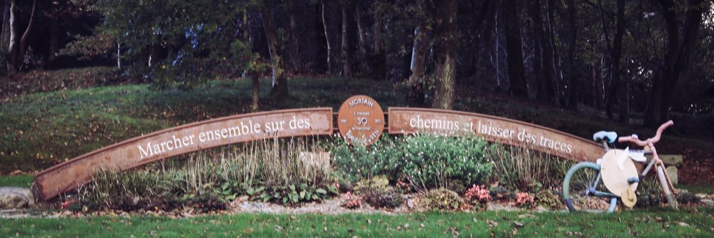 Cindy Hamel banner