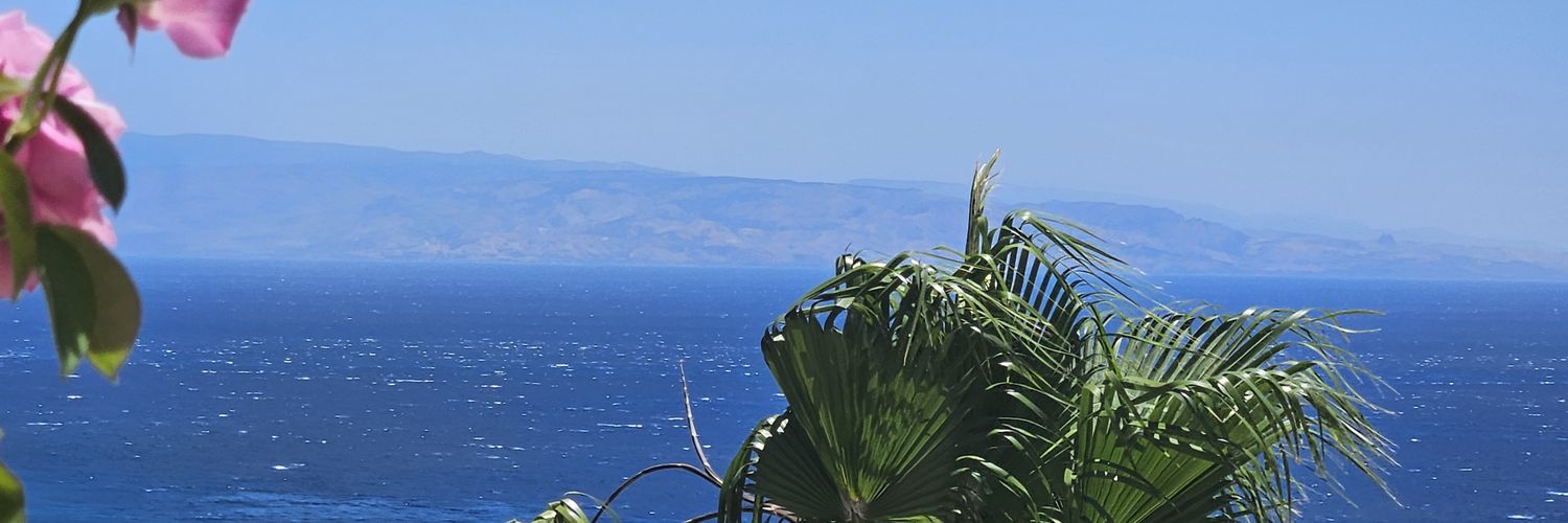 ali rohatynskyj 💙 banner