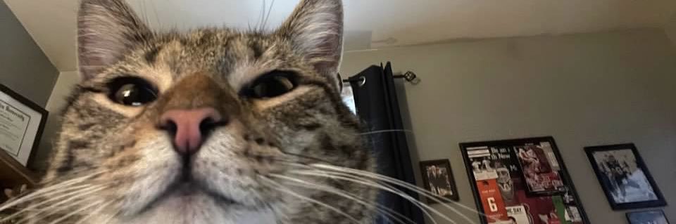 tiffanysobiech's profile banner image
