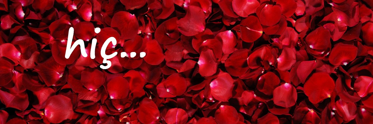b_habibe's profile banner image