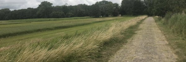 guenterkrings Profile Banner
