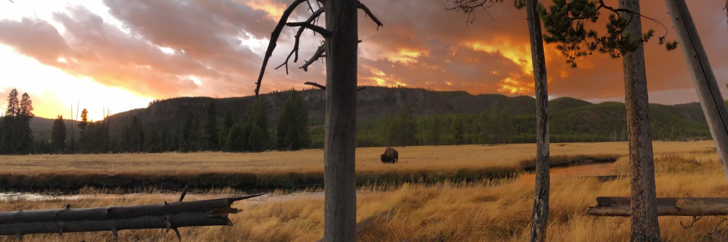 tucsonbeerman's profile banner image