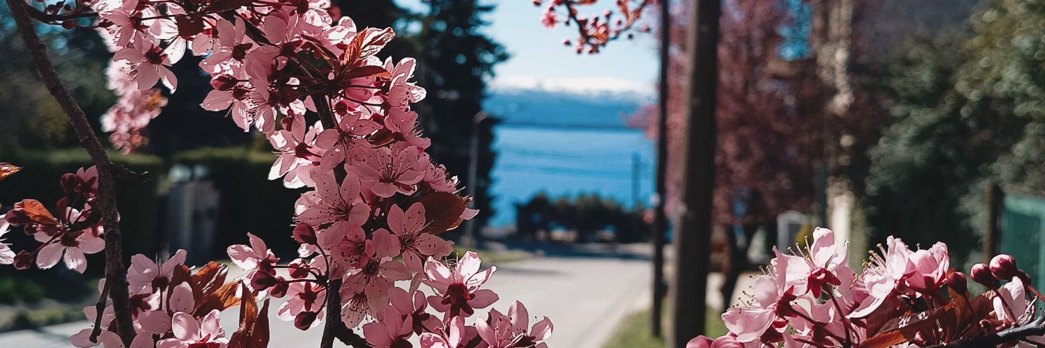 MoggioSol's profile banner image