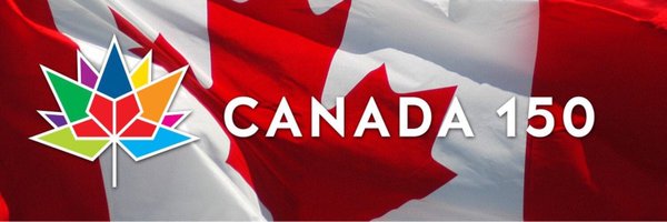 D_Vincelli Profile Banner