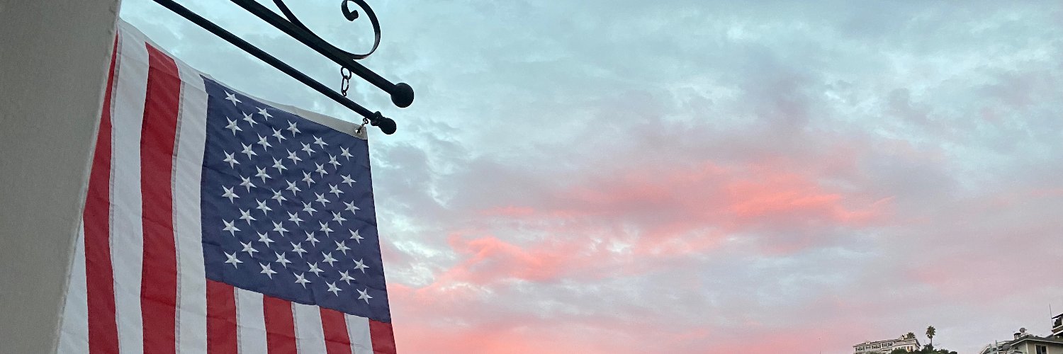 Pammy 🇺🇸 banner