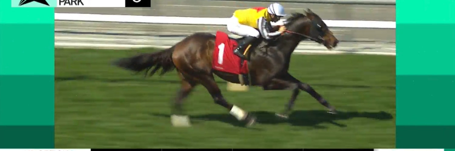 Audra Mandella banner