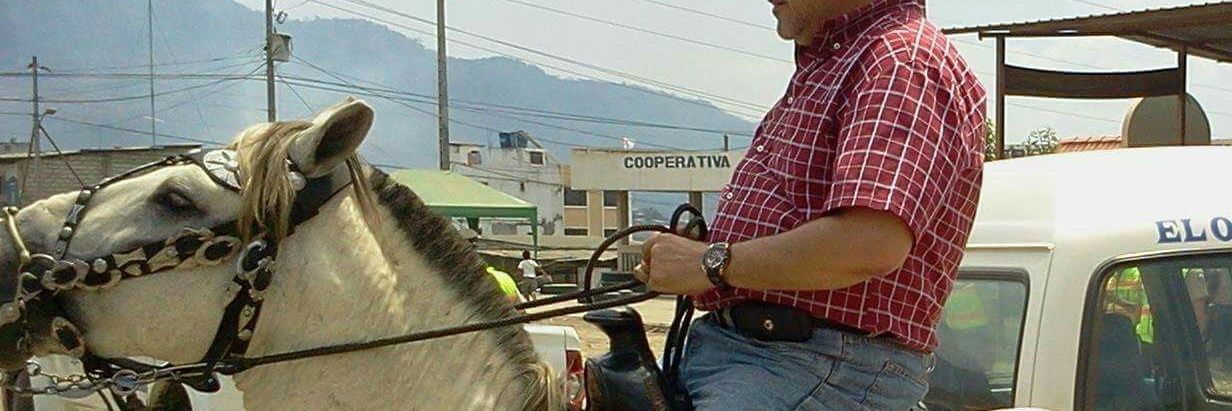 Alejandro Varas Coppiano banner