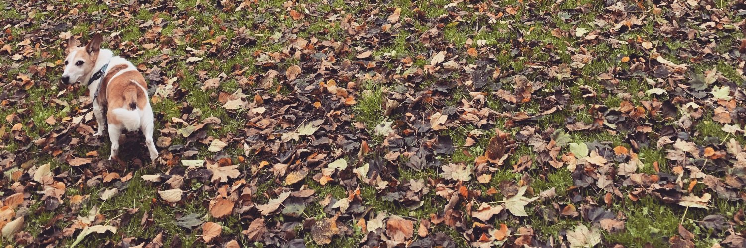 abbiesheld0n's profile banner image