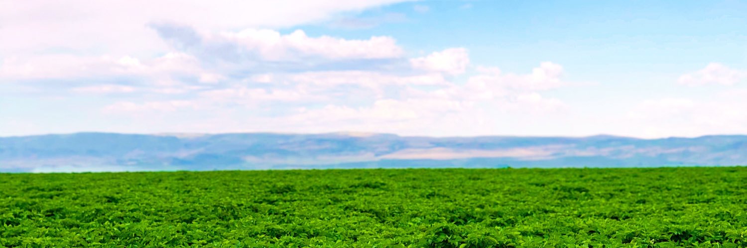 katejohnsen12's profile banner image