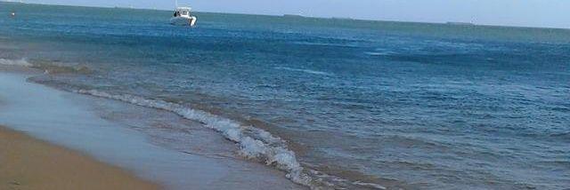 martagalan2's profile banner image