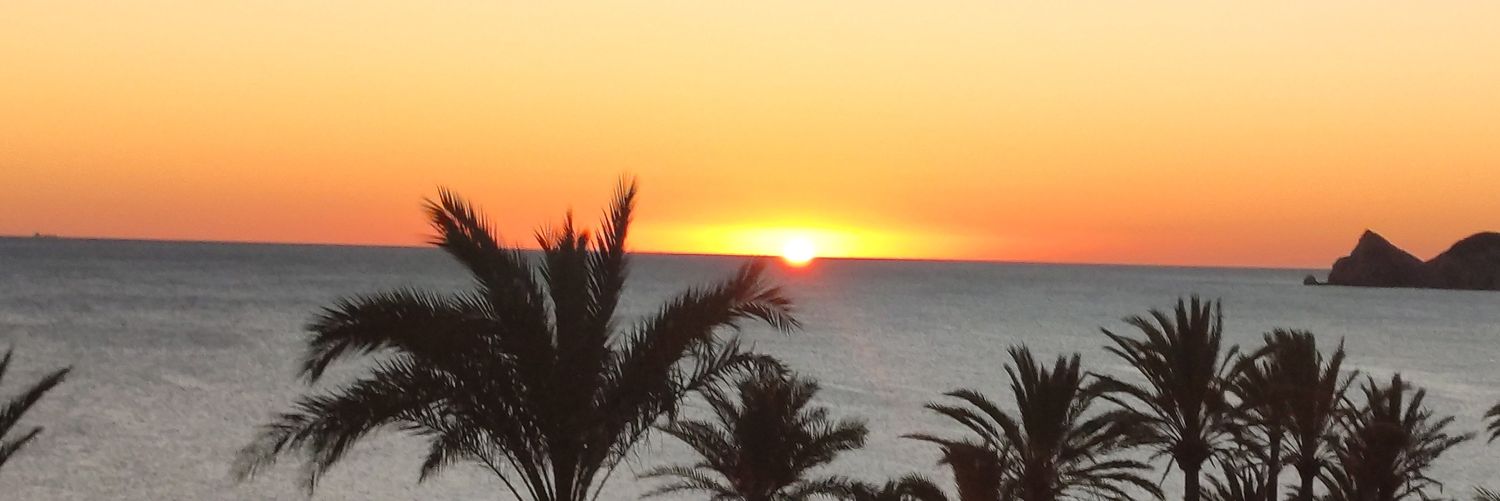 michellogo's profile banner image