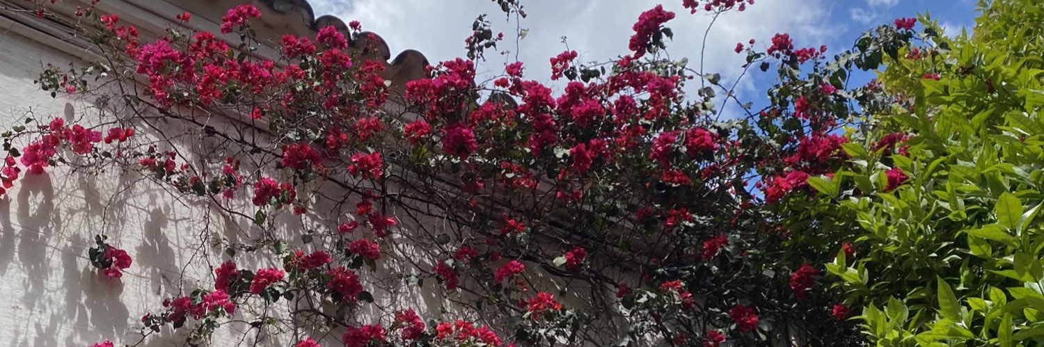 Angielebron's profile banner image
