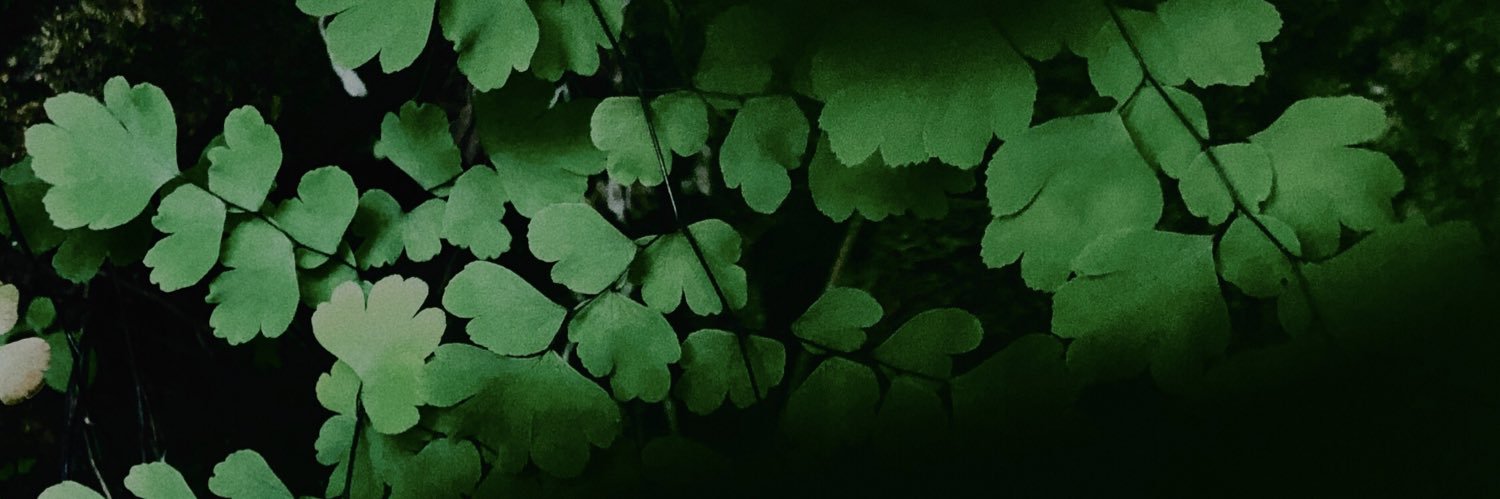 andreamazierc's profile banner image