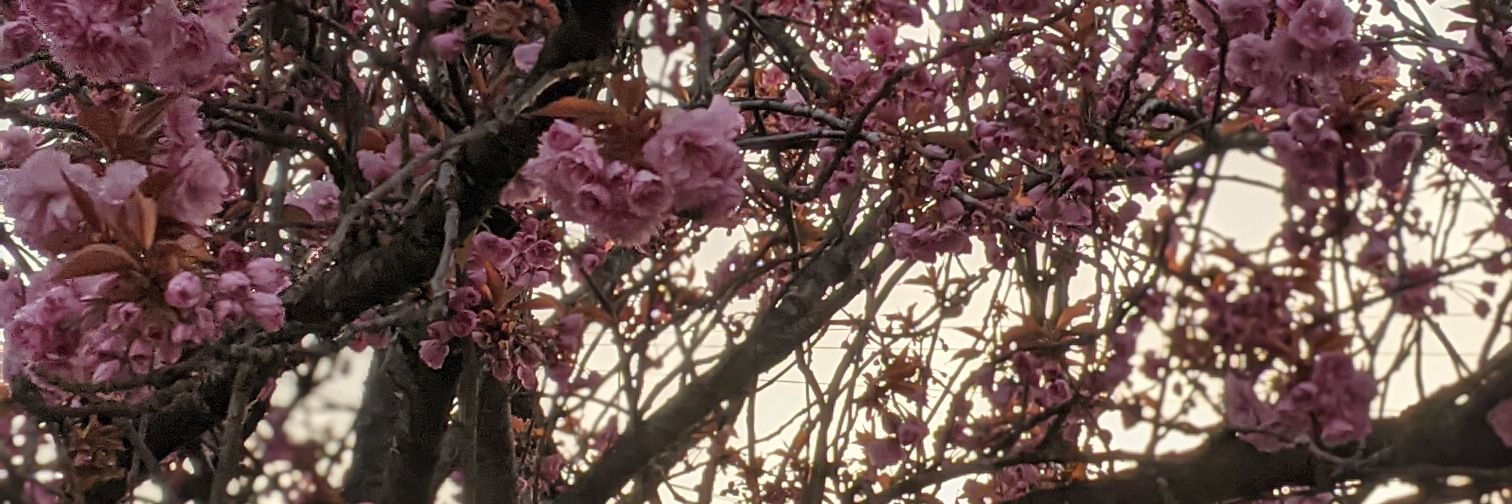 Ije_TO's profile banner image