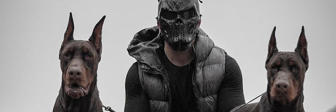 𝘿𝙤𝙗𝙚𝙧𝙢𝙖𝙣 banner