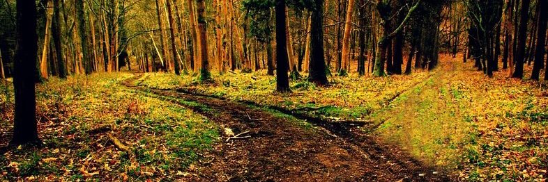 Anthony Howell banner