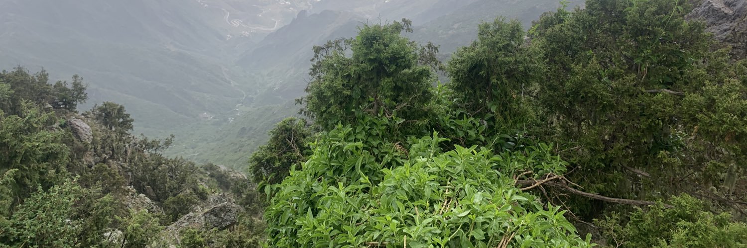 AljobirySaad's profile banner image
