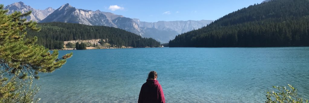 CaireannW's profile banner image