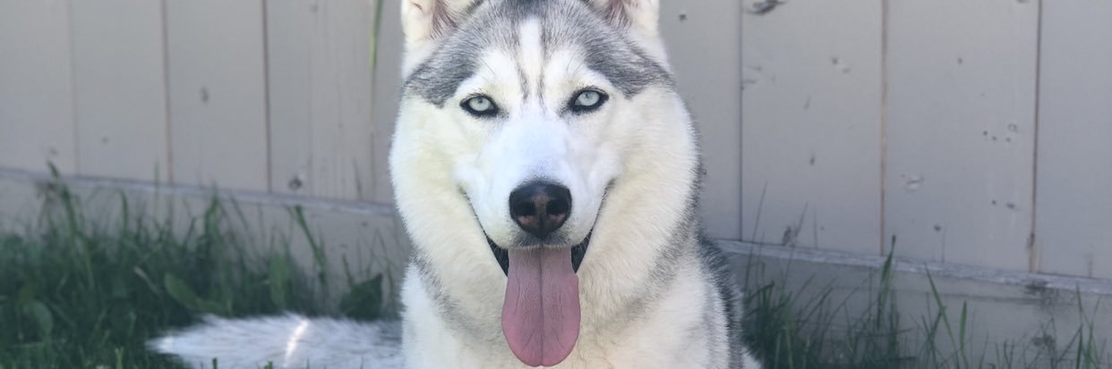 ahnloveswhat's profile banner image