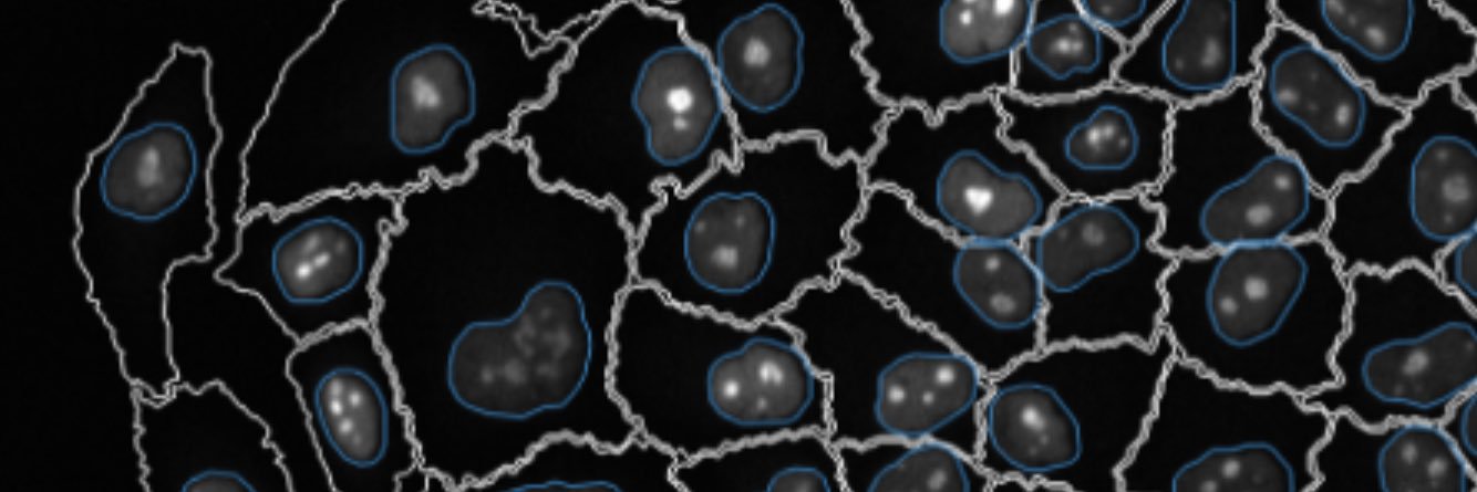 muellermicha_'s profile banner image