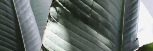 Charnley Communications banner